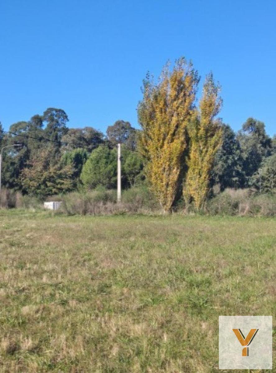 Land for Sale - 1,045 square meters - Azul