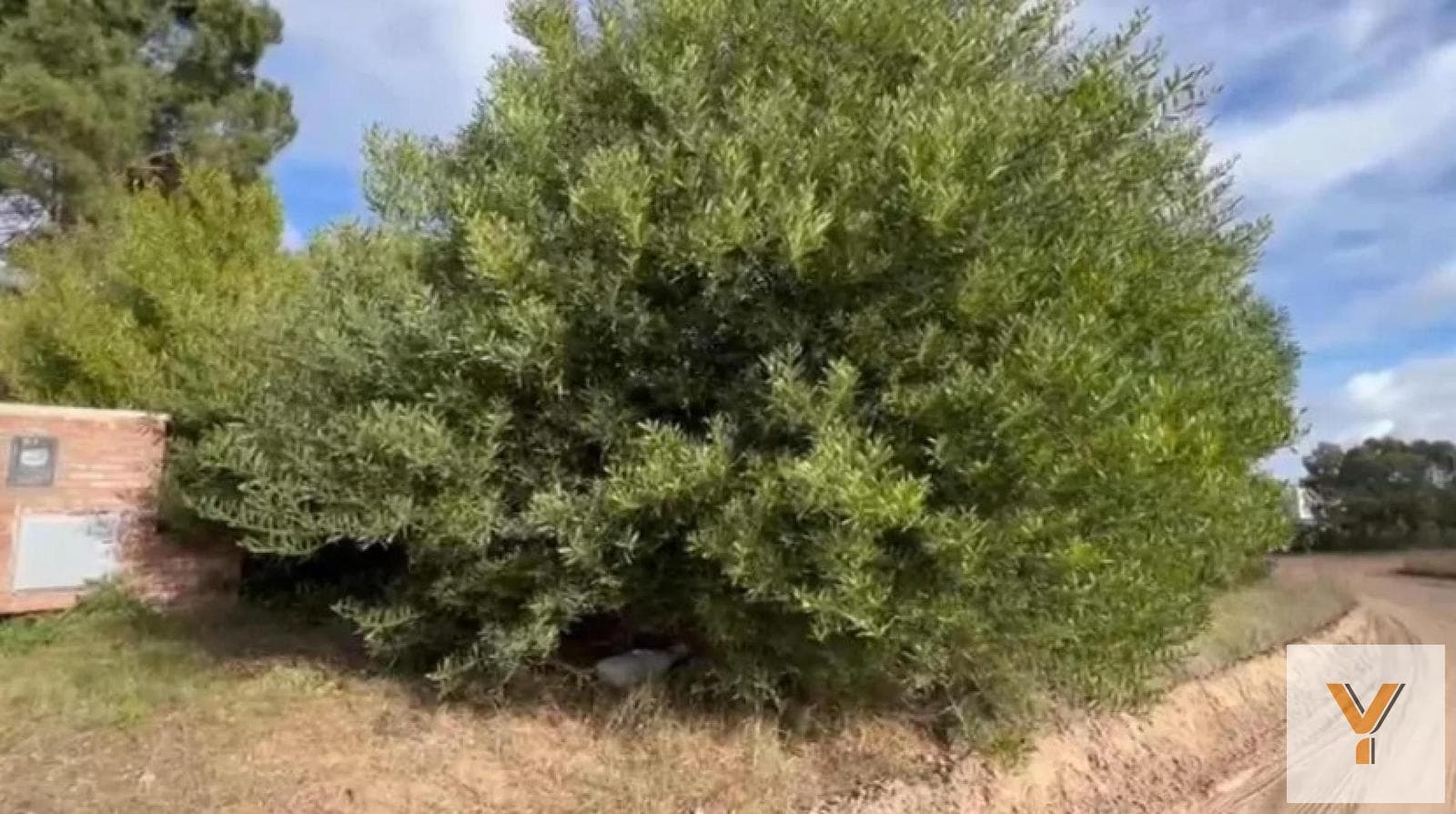 Land for Sale - 1,047 m² - Costa Esmeralda