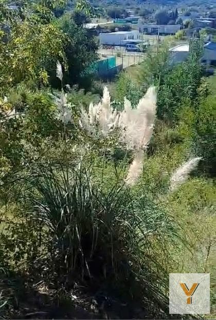 Land for Sale - 800 square meters - San Luis
