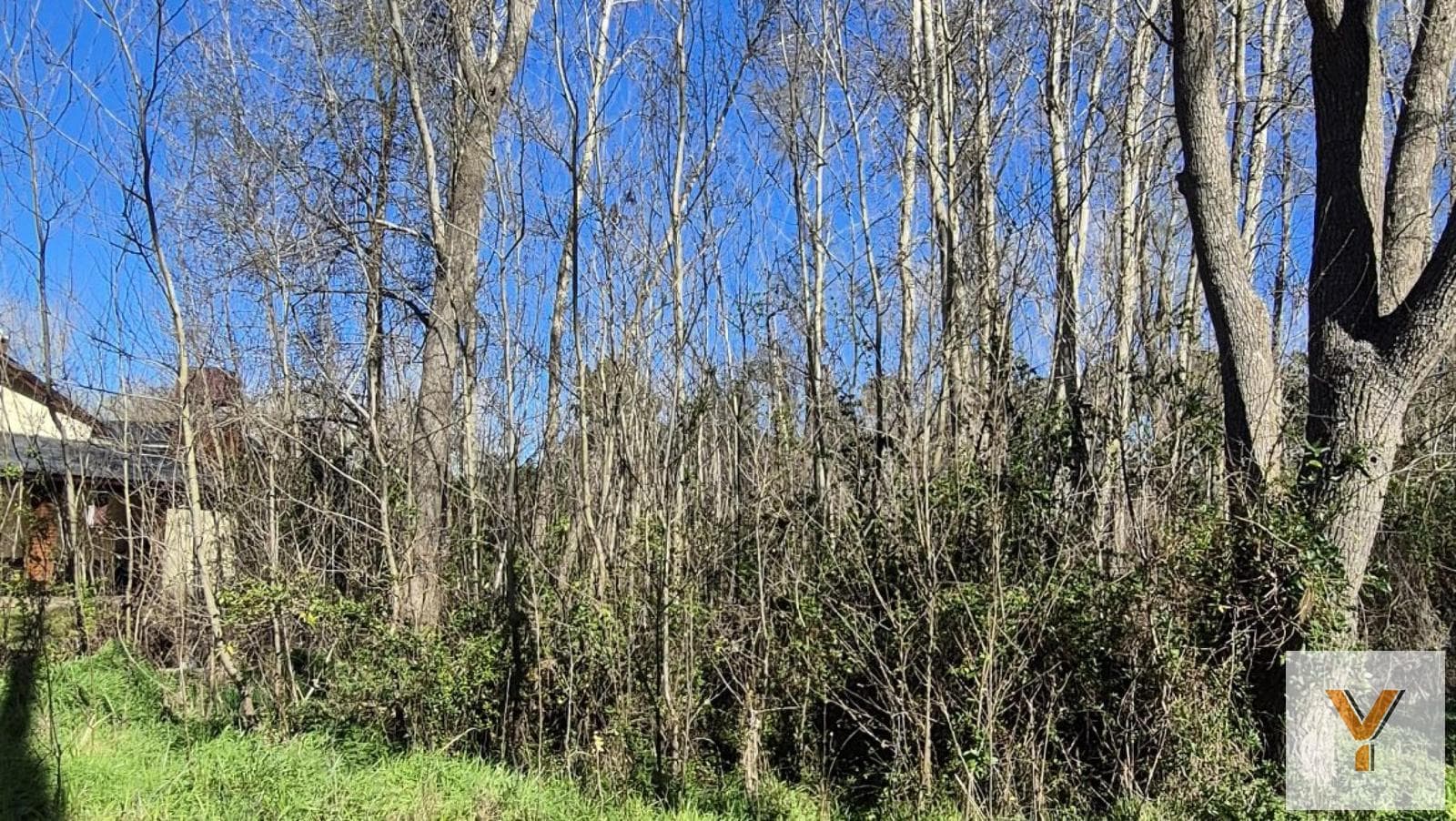 Land for Sale - 555 square meters - Costa del Este