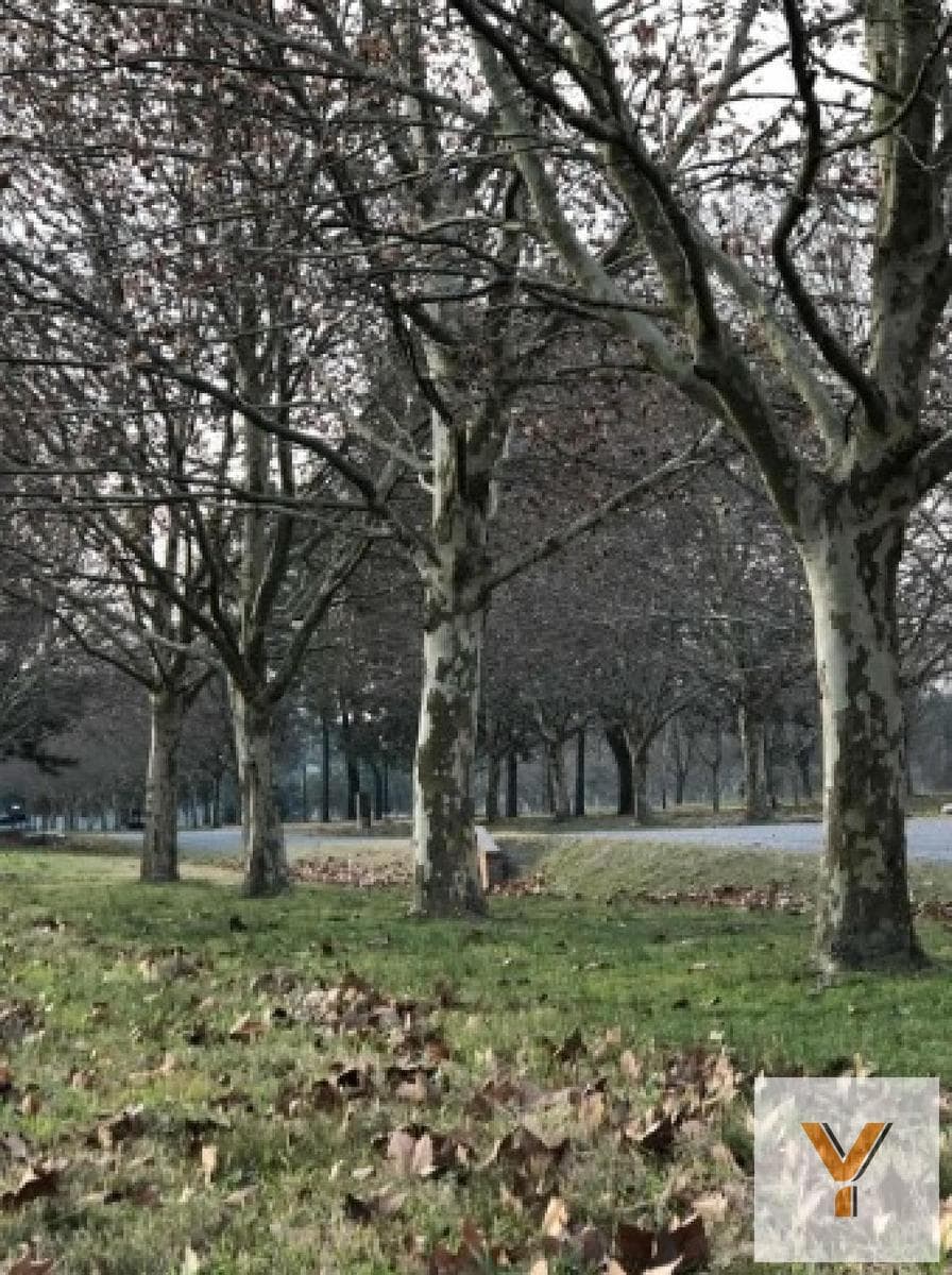Land for Sale - 3,289 m² - Canning, Ezeiza