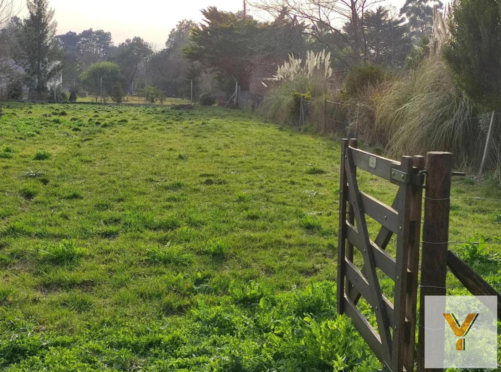 Land for Sale - 1,264 m² - El Rodeo