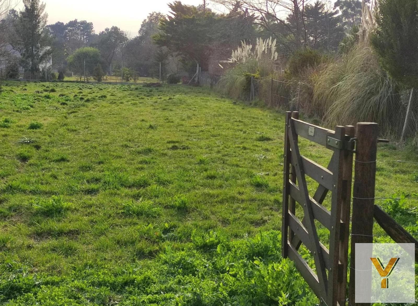 Land for Sale - 1,264 m² - El Rodeo