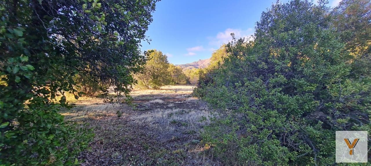 Land for Sale - 1,650 m² - Neuquén