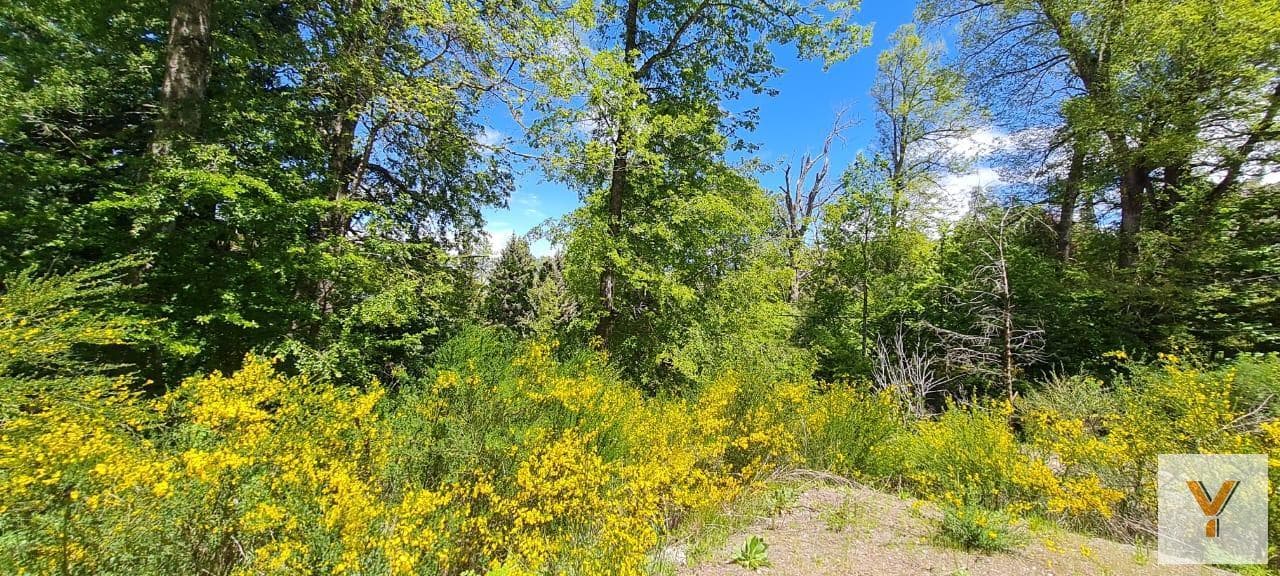 Land for Sale - 836 square meters - San Martín de los Andes