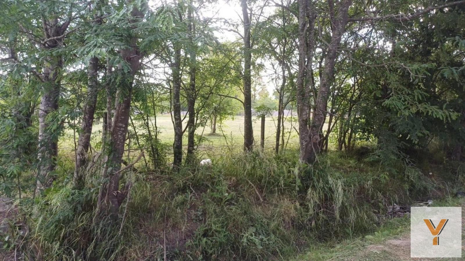 Land for sale - 550 square meters - Cañuelas