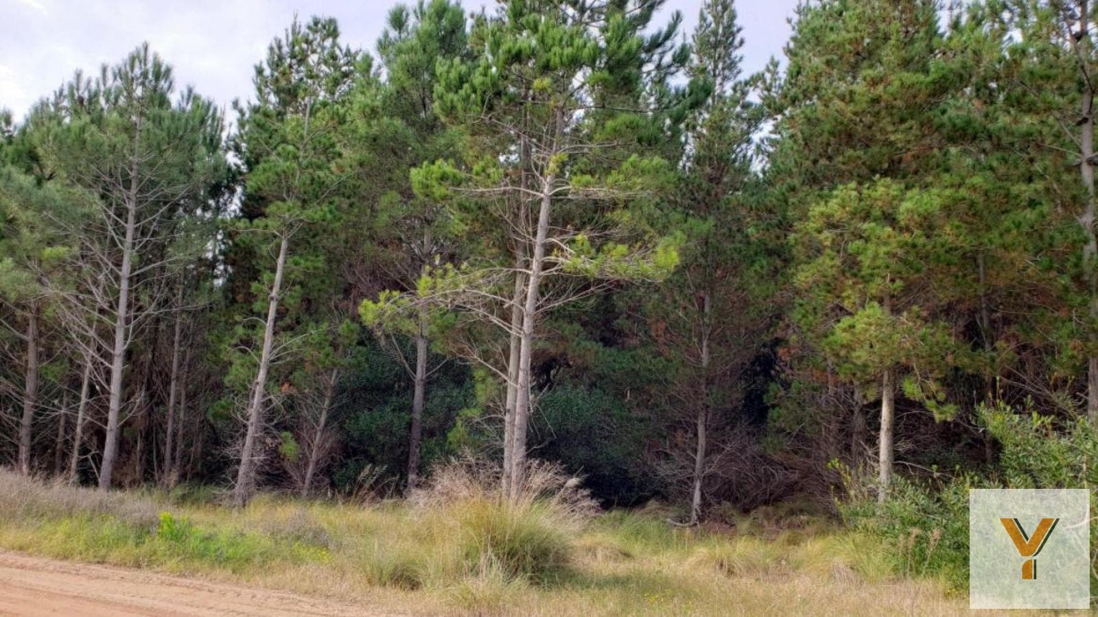 Land for Sale - 917 square meters - Pinamar