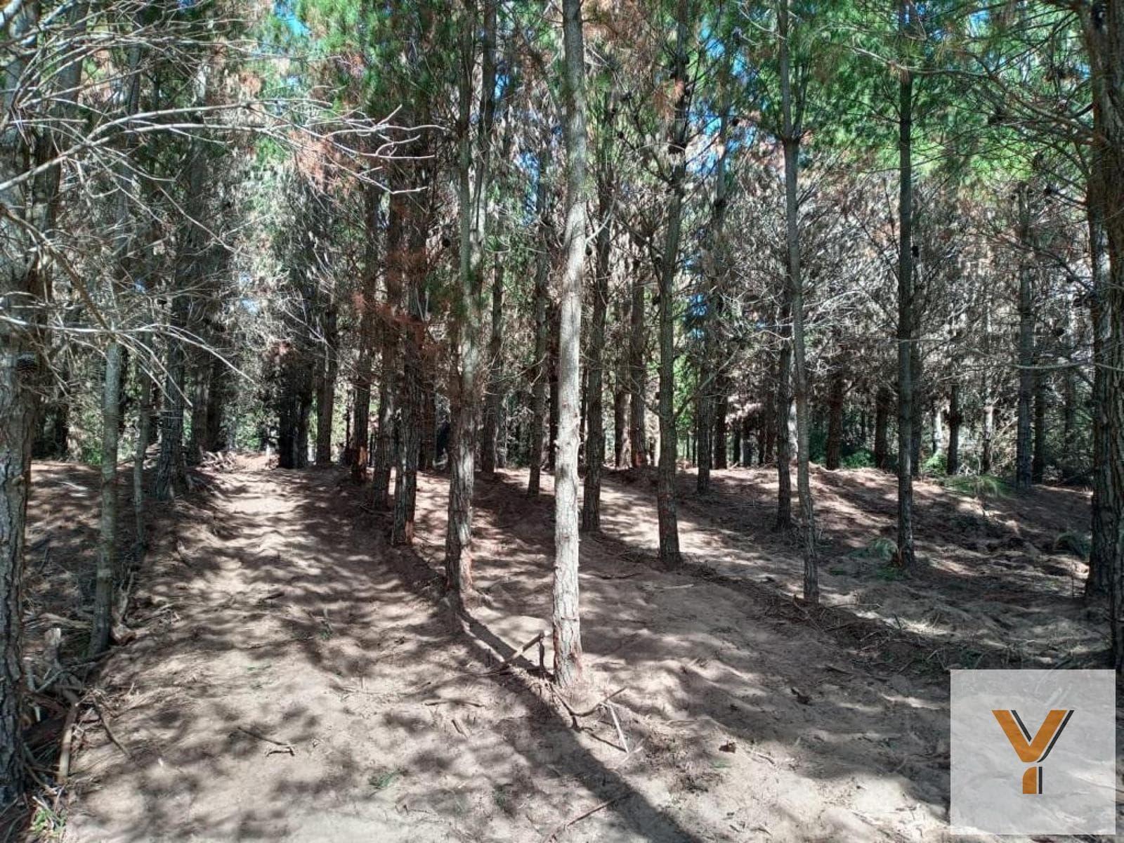 Land for Sale - 917 square meters - Pinamar