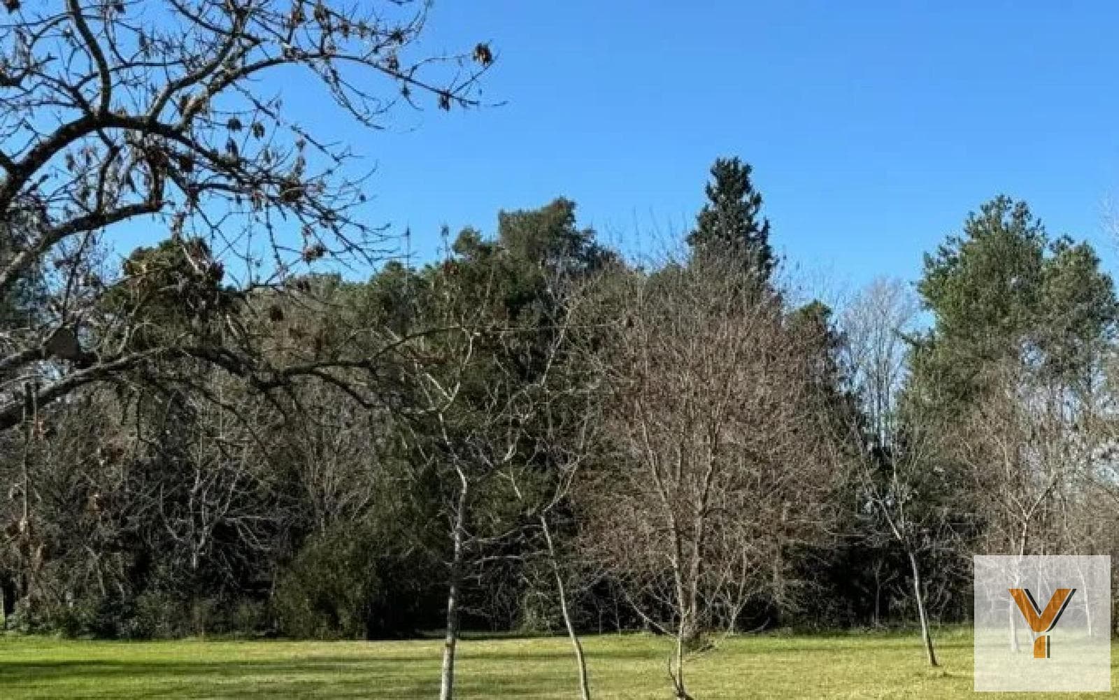 Land for Sale - 1,600 m² - Guernica