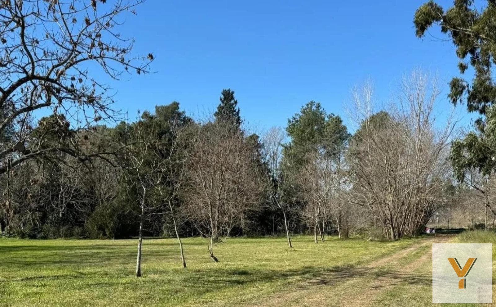 Land for Sale - 1,600 m² - Guernica
