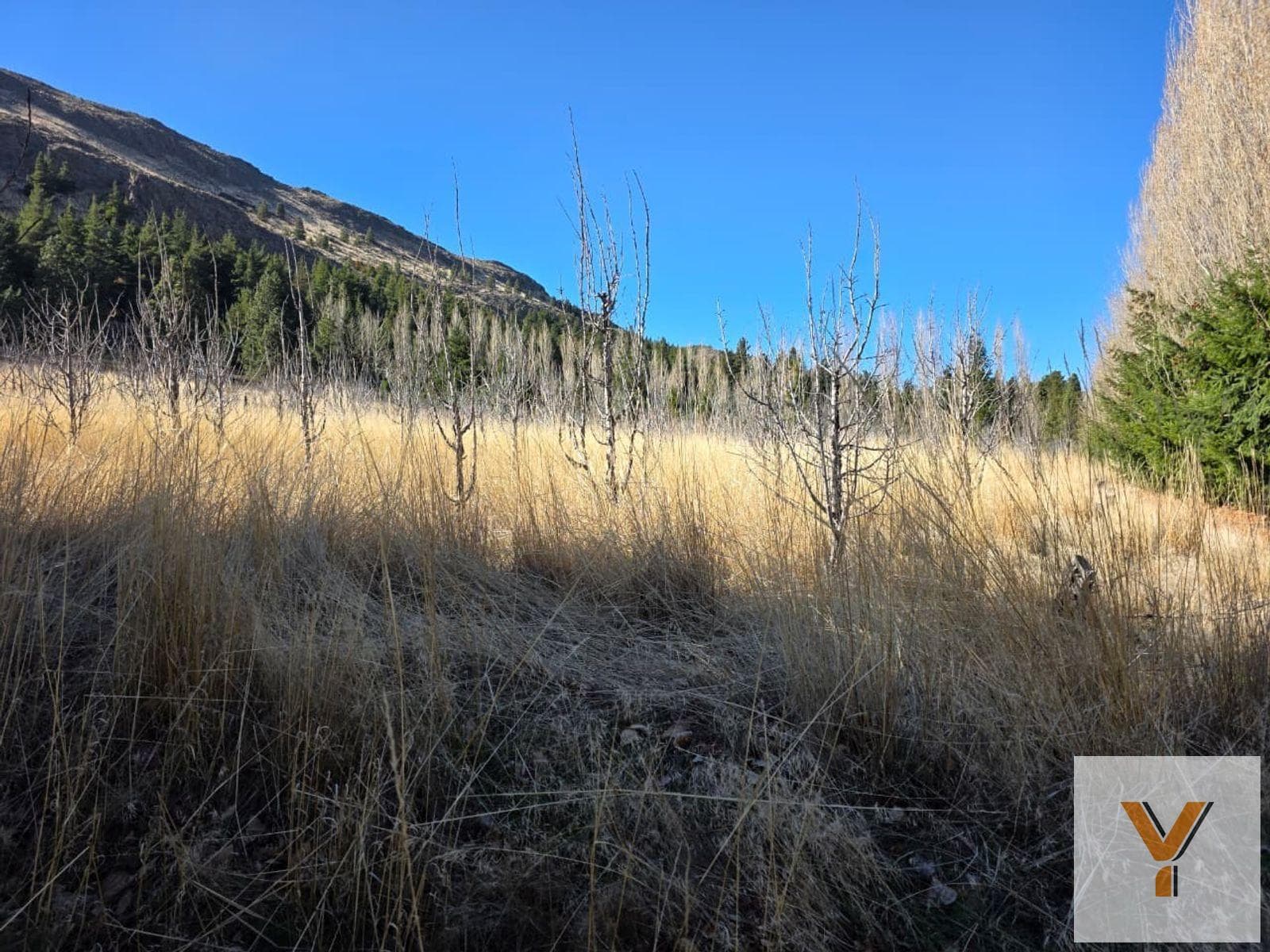 Land for Sale - 692 square meters - Esquel