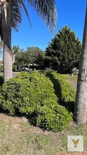 Land for Sale - 1,000 m² - Luján