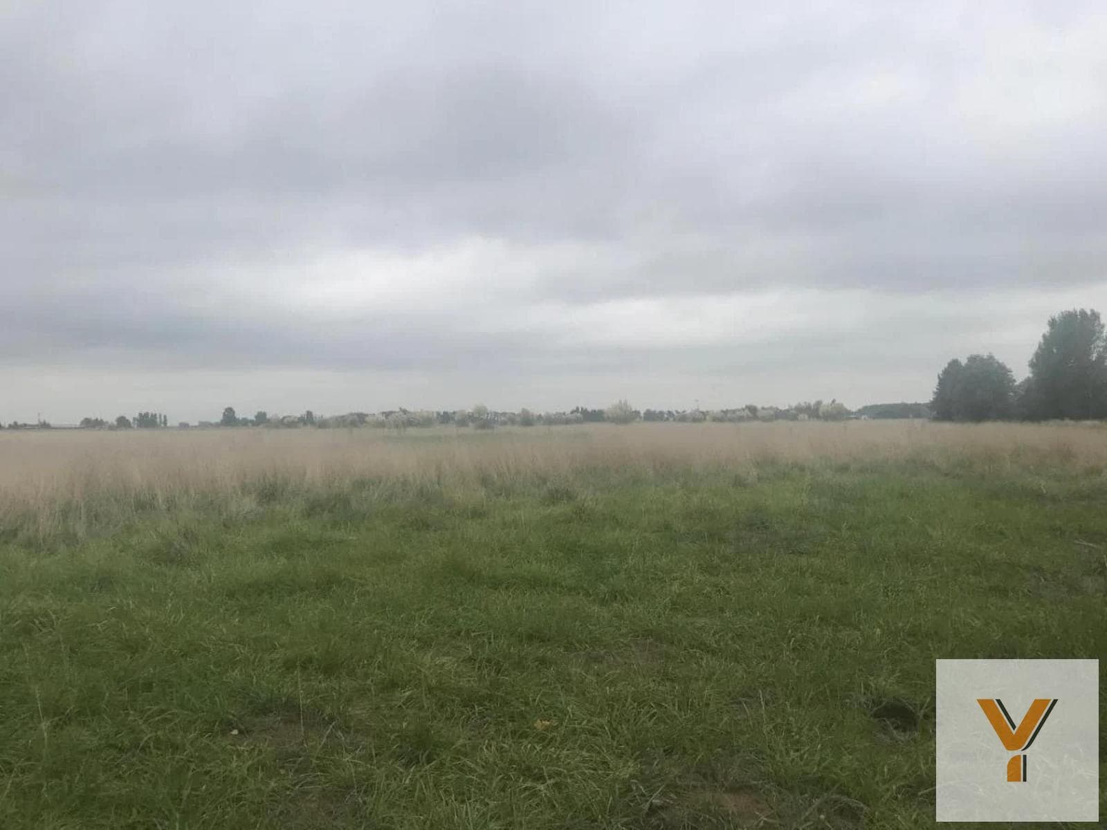 Land for Sale - 29,800 m² - Estancia Benqueria, Monte