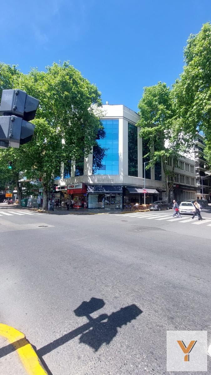 Office for Rent - 8 Offices, 2 Bathrooms - Palermo