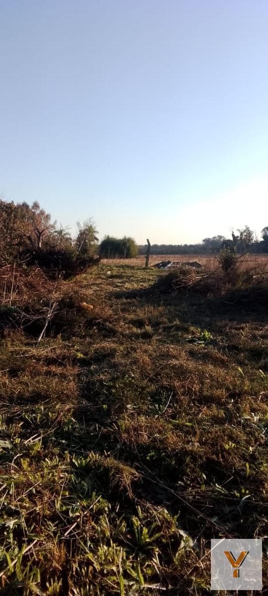 Land for Sale - 1,100 square meters - San Carlos