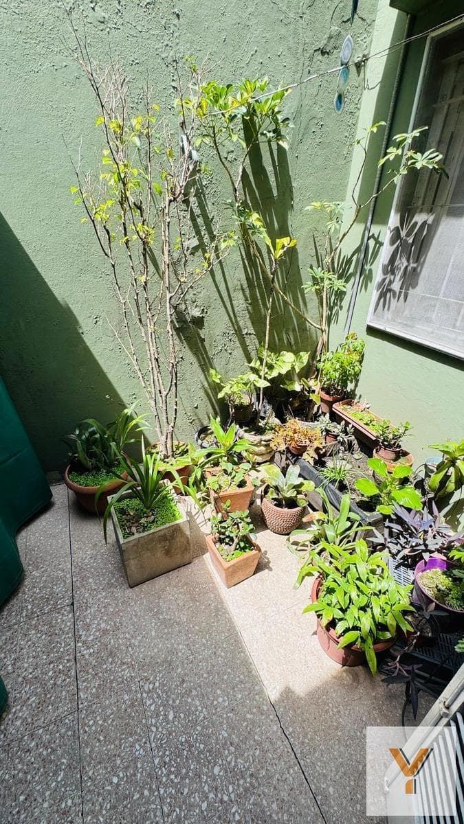 House for Sale - 3 Bedrooms, 2 Bathrooms - 180 m² - Piñeyro