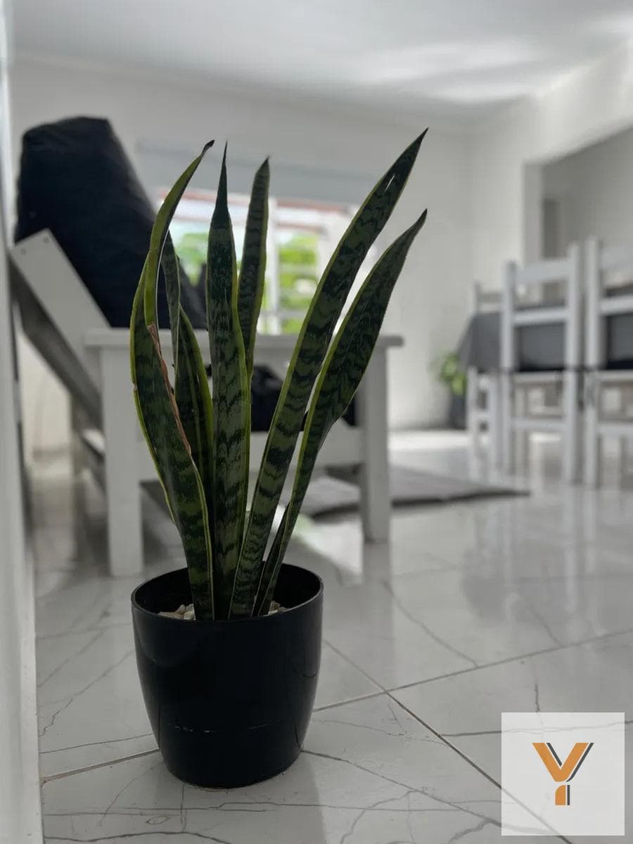 Apartment for Sale - 2 Bedrooms, 1 Bathroom - San Clemente del Tuyú