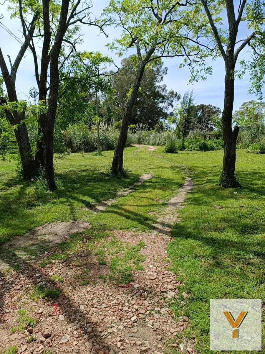 Land for sale - 800 m² - Berisso