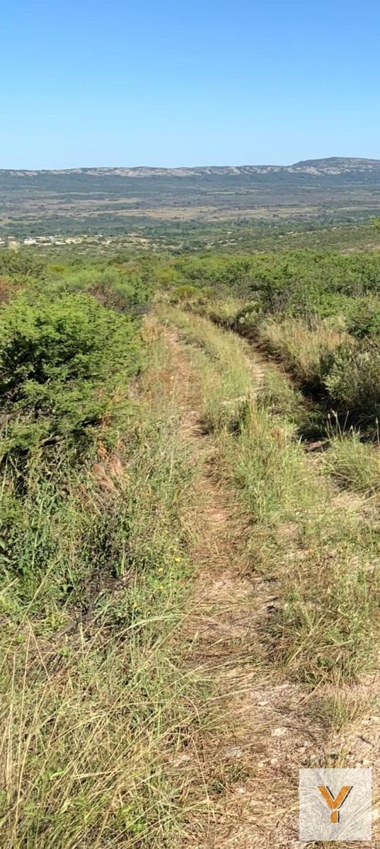Land for Sale - 5,000 m² - Córdoba