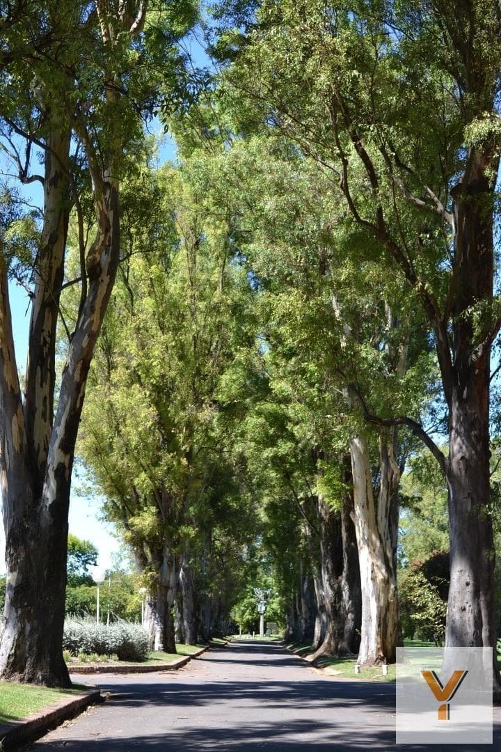 Land for Sale - 1,050 m² - Los Cardales Country Club, Campana