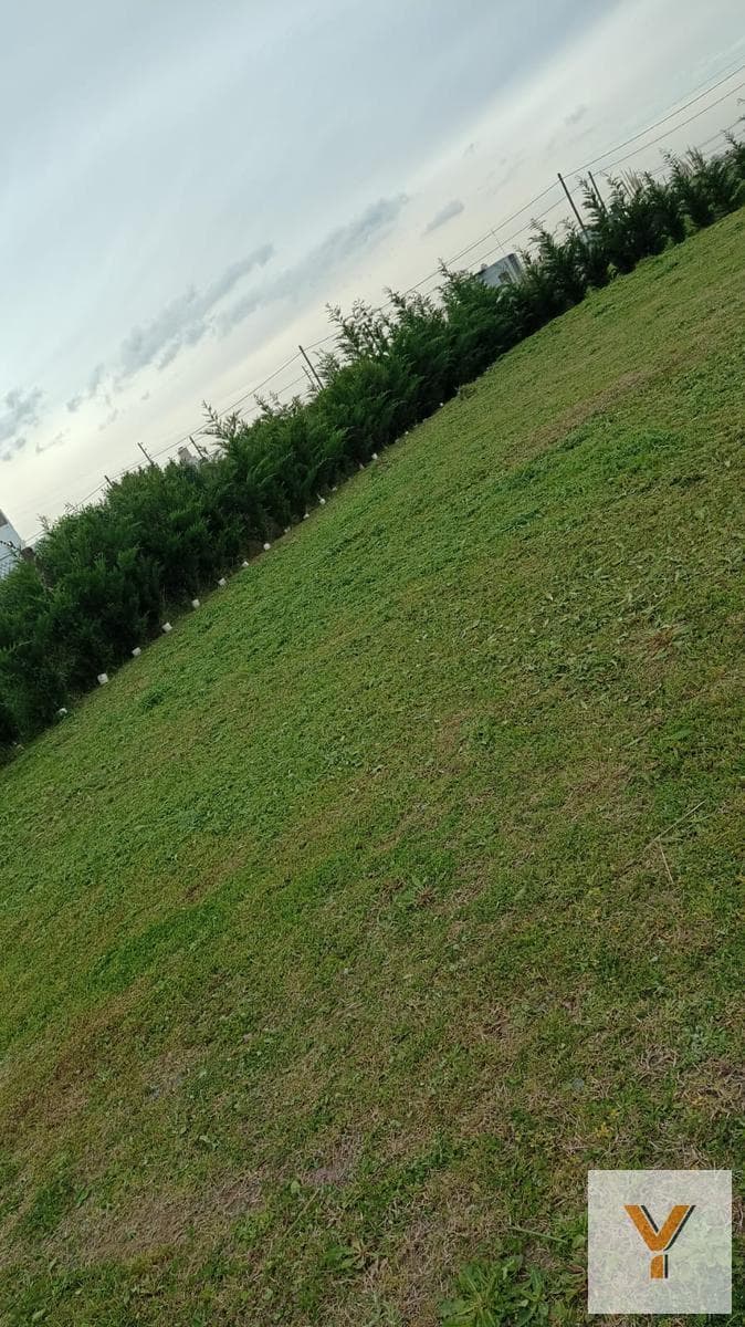 Land for Sale - 600 m² - Arana
