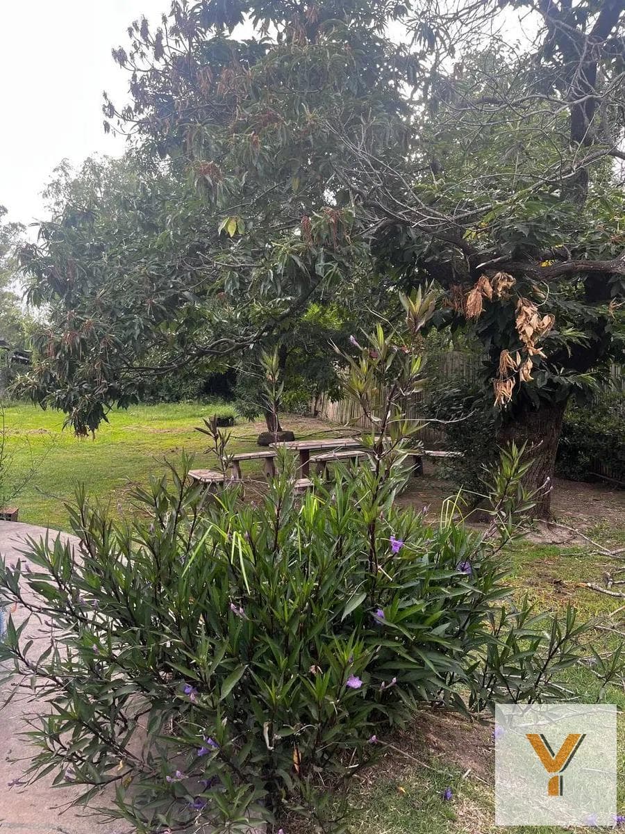House for Sale - 5 Bedrooms, 3 Bathrooms - Gonzalez Catan