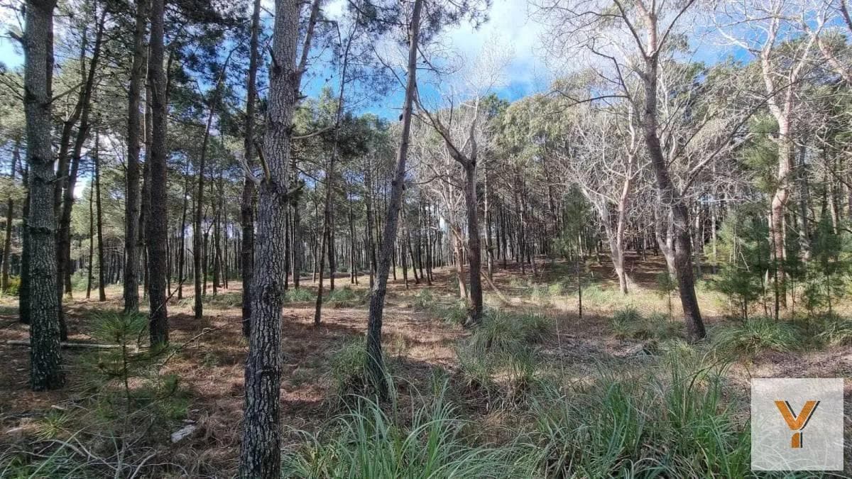 Land for Sale - 1,047 m² - Villa Robles, Pinamar
