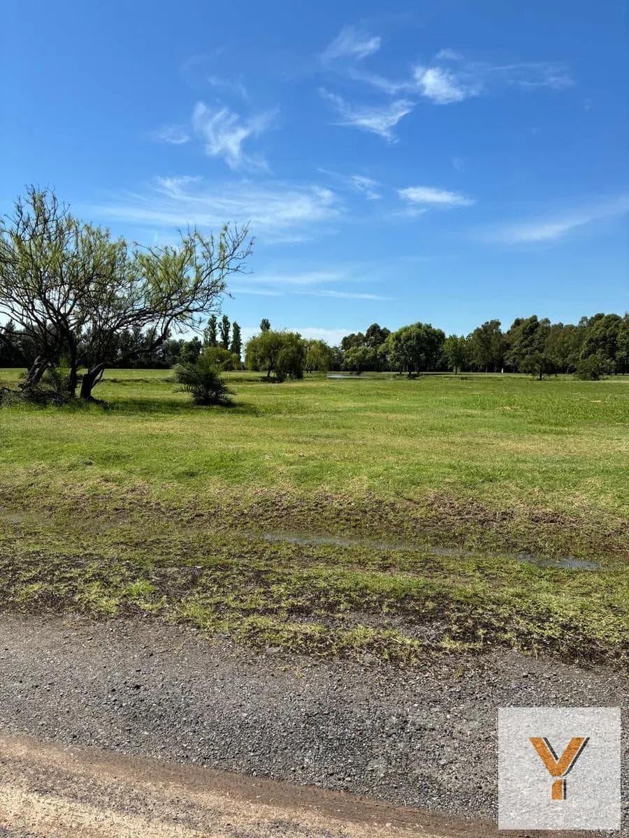 Land for Sale - 2,100 m² - General Las Heras