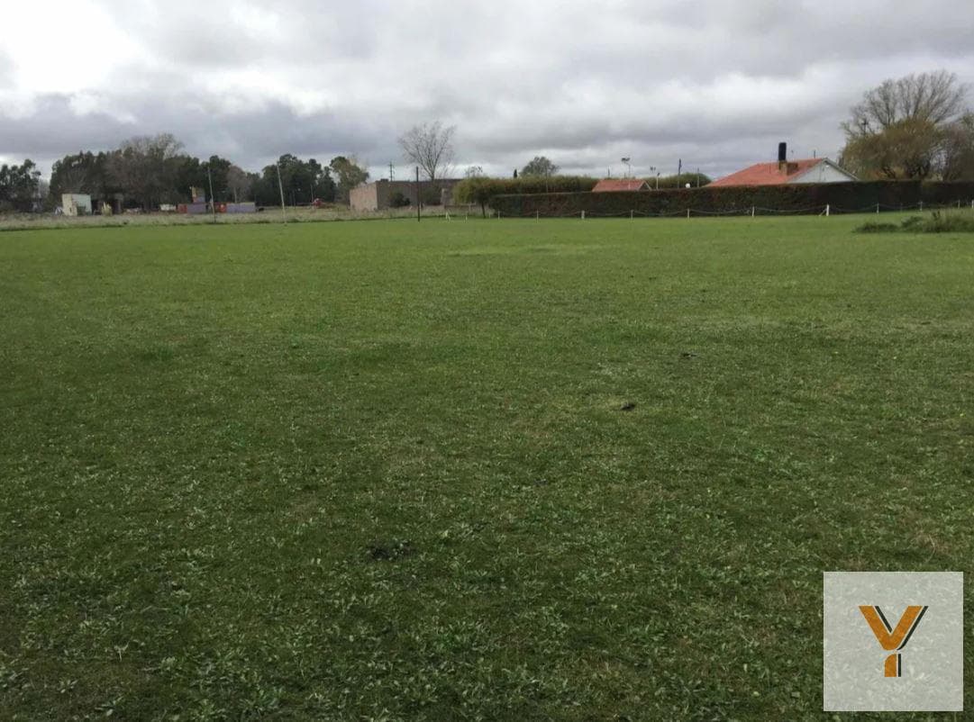 Block sale of 4 lots - 40x90 meters - 3,600 square meters total - Olavarria