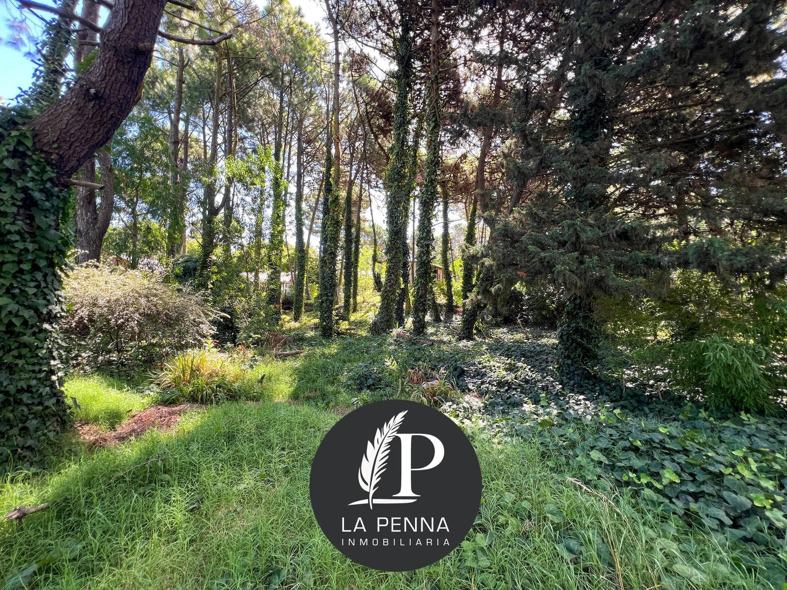 Lot for Sale in Pinamar