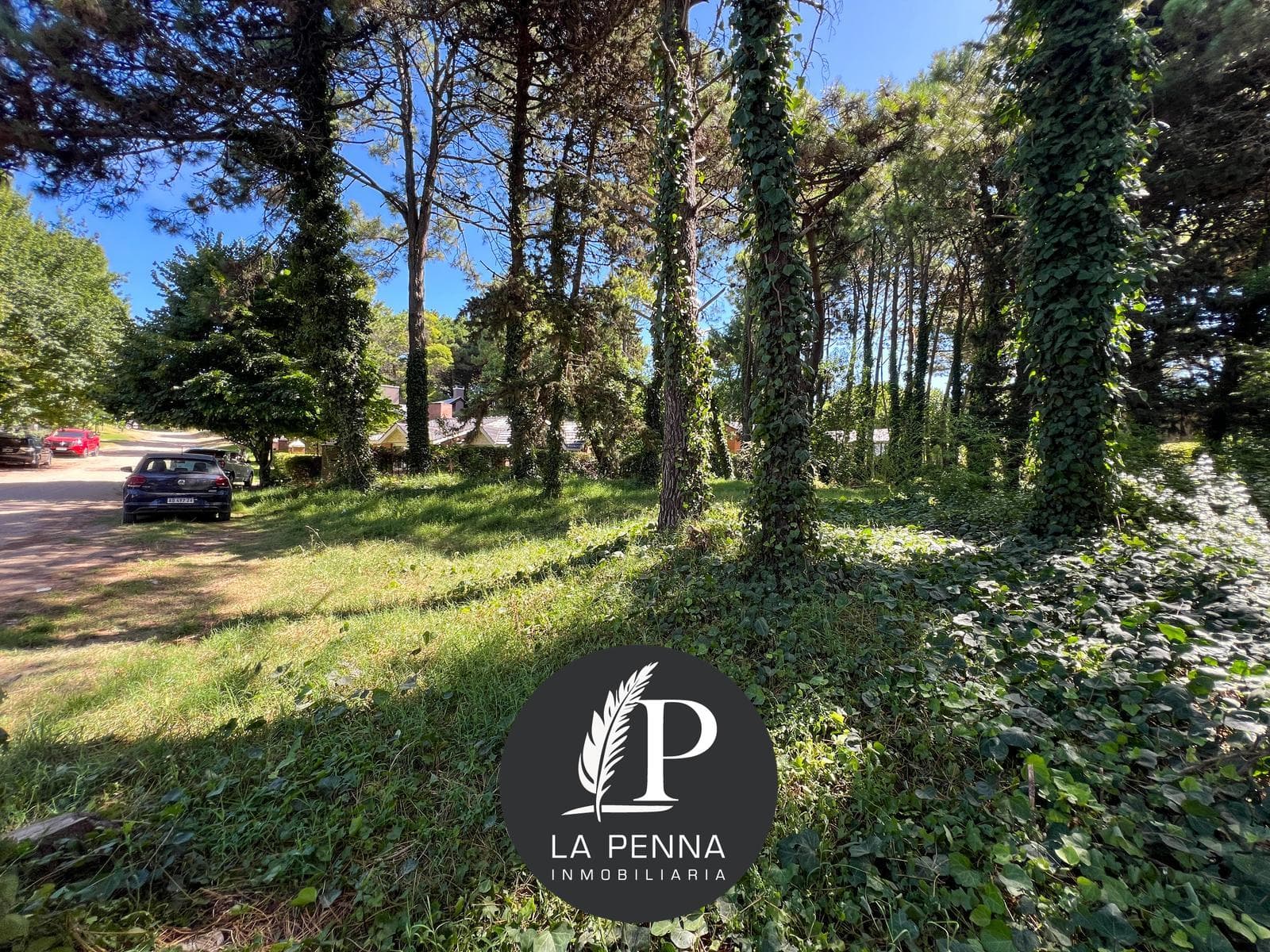 Lot for Sale in Pinamar