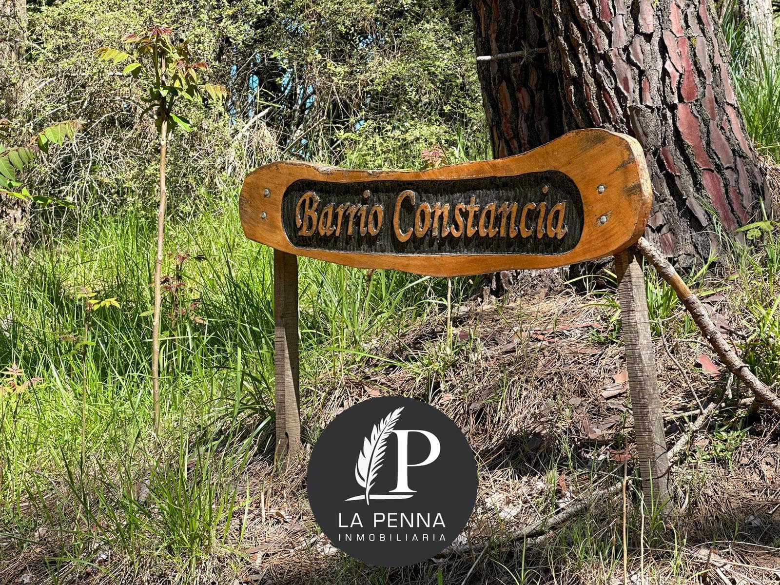 Casa Carilo, Constancia Neighborhood
