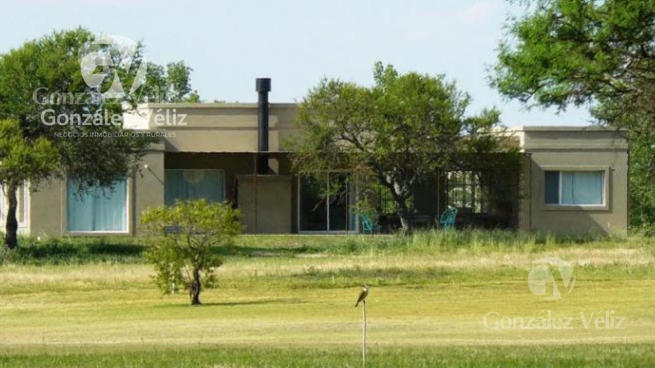 Home - Golf