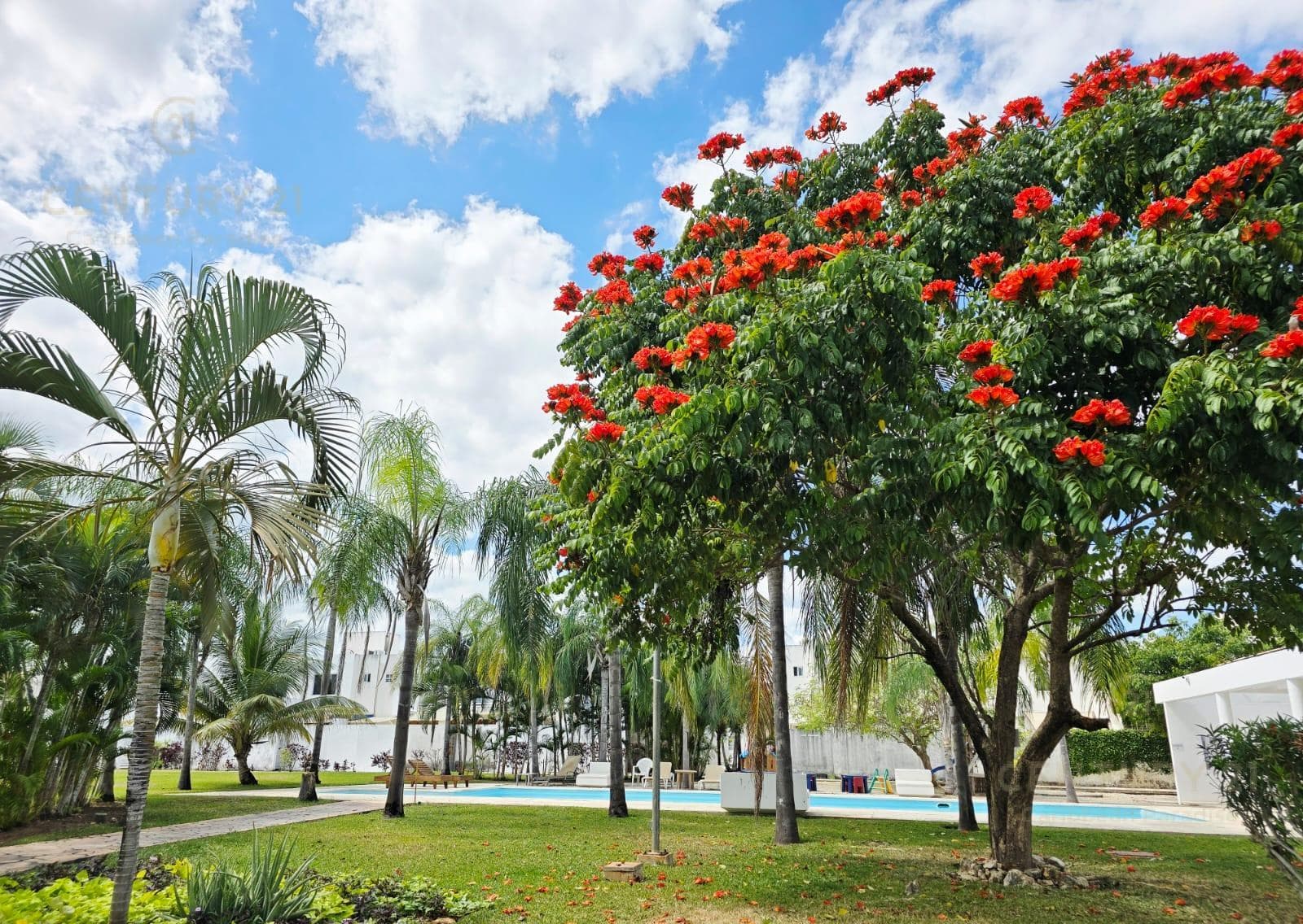 Casa 3 Recamaras en Venta Amueblada en Paseo Los Olivos Playa del Carmen | P3374