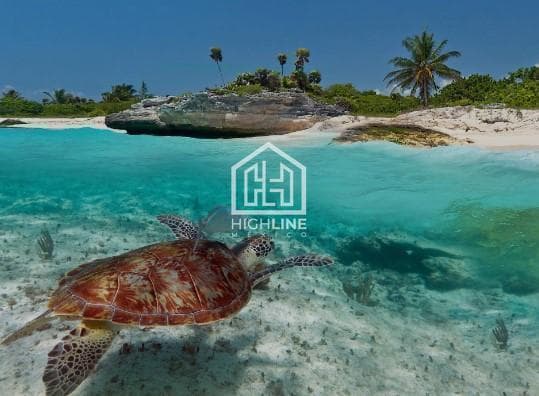 ESTUDIO CERCA DE LA PLAYA EN PREVENTA / APROVECHA LOS PRIMEROS PRECIOS!
