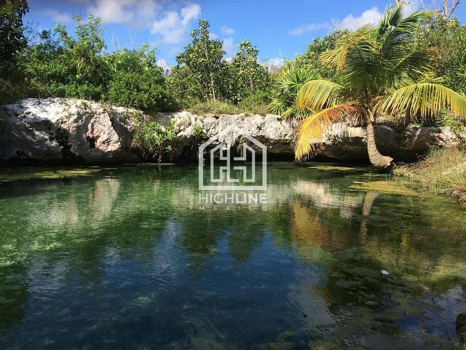 EN VENTA SUITE EN TULUM DE 1 HABITACIÓN Y 1 BAÑO REGADERAS, BAÑO, ASADORES, WI-FI ÁREA COMÚN