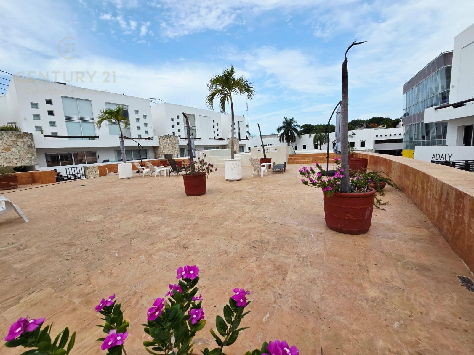En renta Loft de 1 recámara en Plaza Paraíso, Playa del Carmen P3670