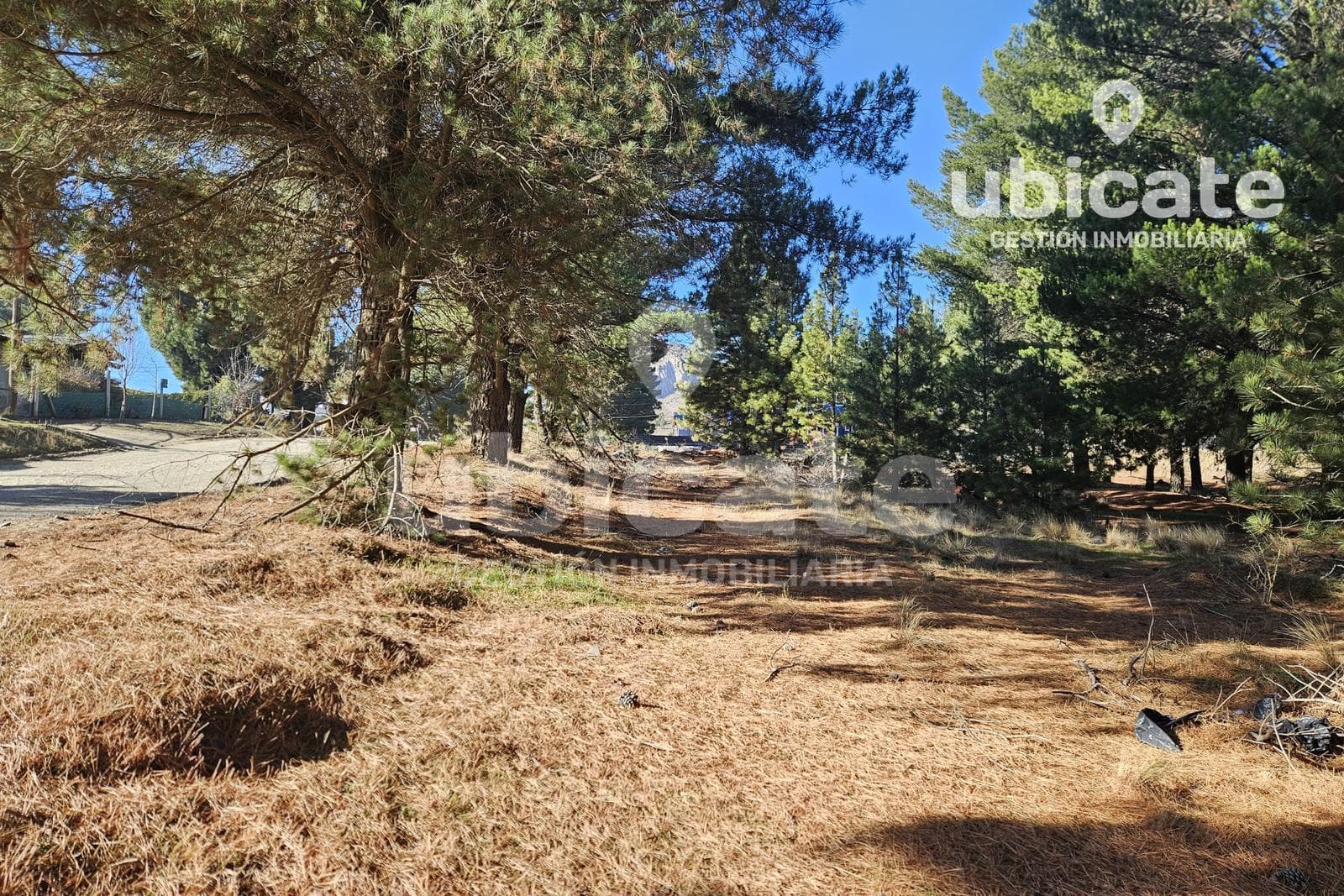 One-of-a-Kind Lot in Dina Huapi