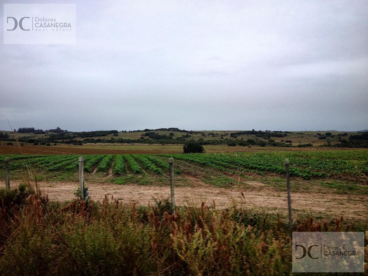 Land for Sale - Punta del Este