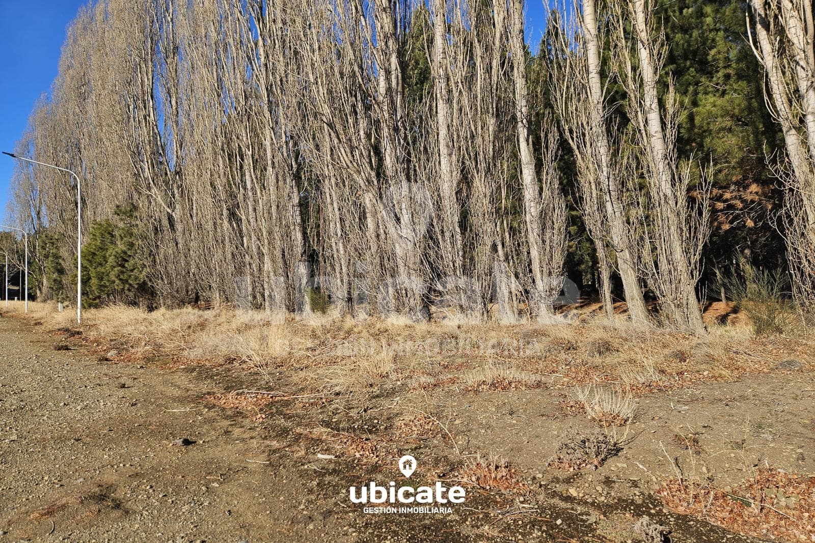 Land in Dina Huapi