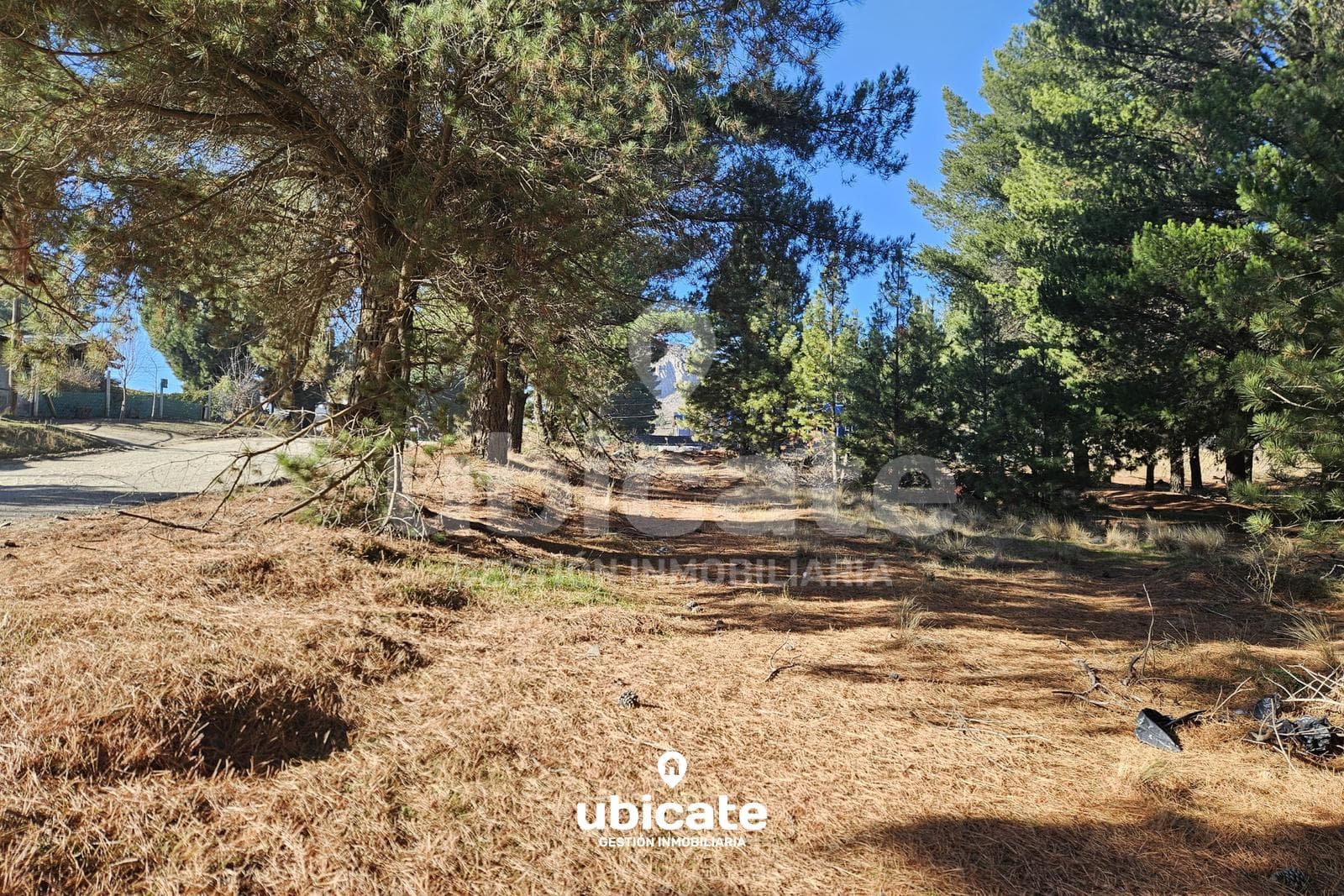 Land in Dina Huapi