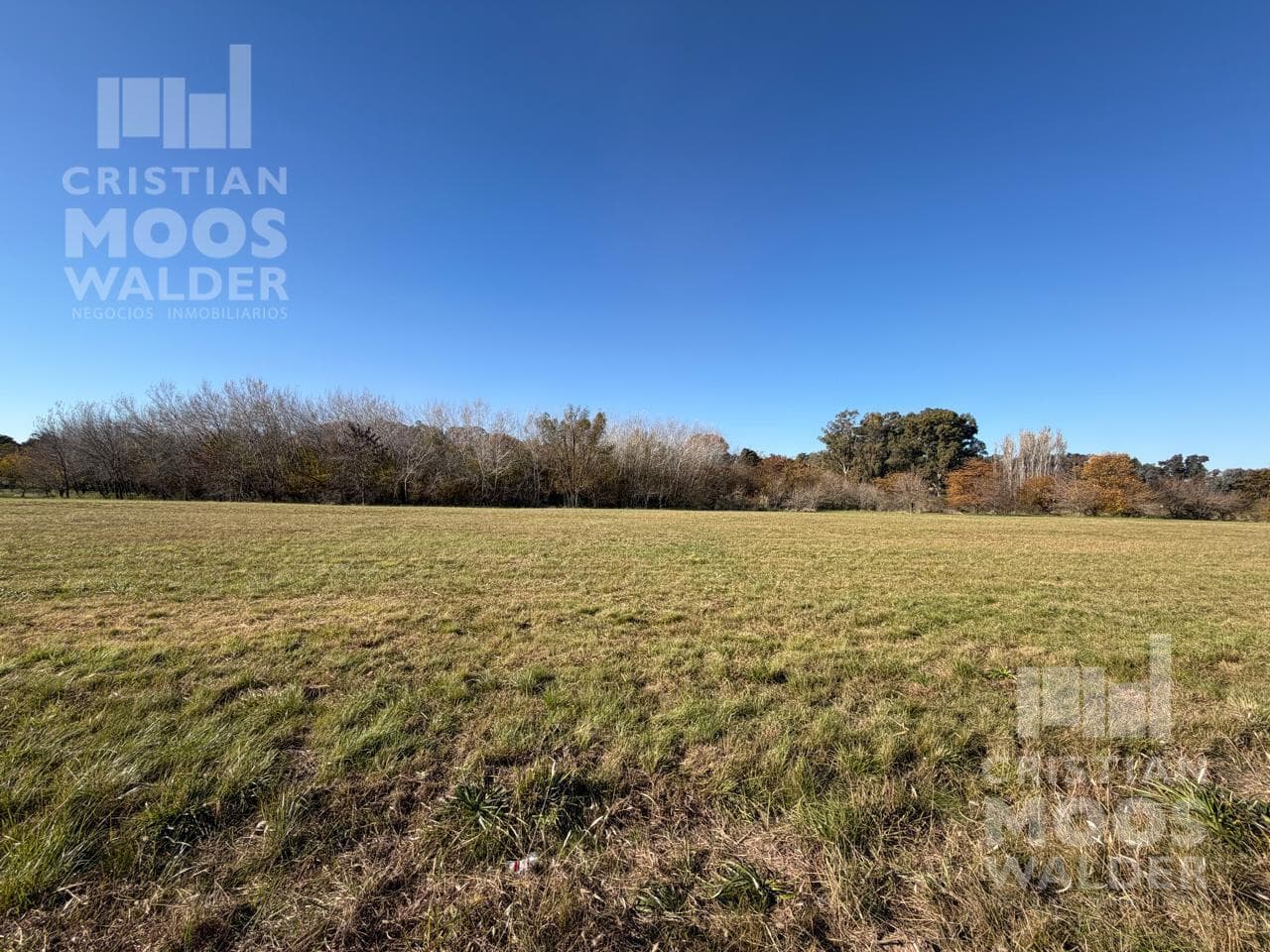 Land for Sale - Loma Verde