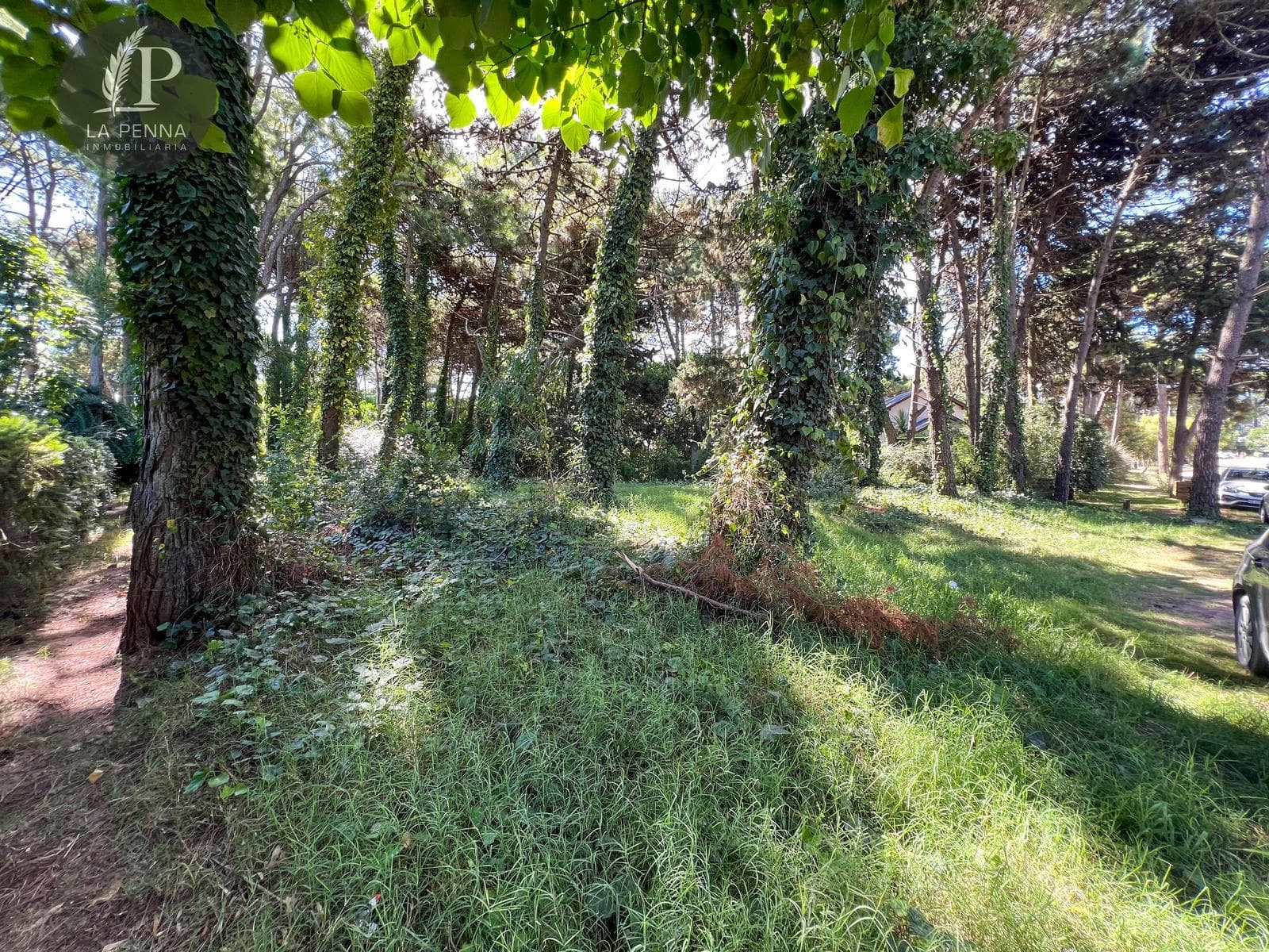 Lot for Sale in Pinamar