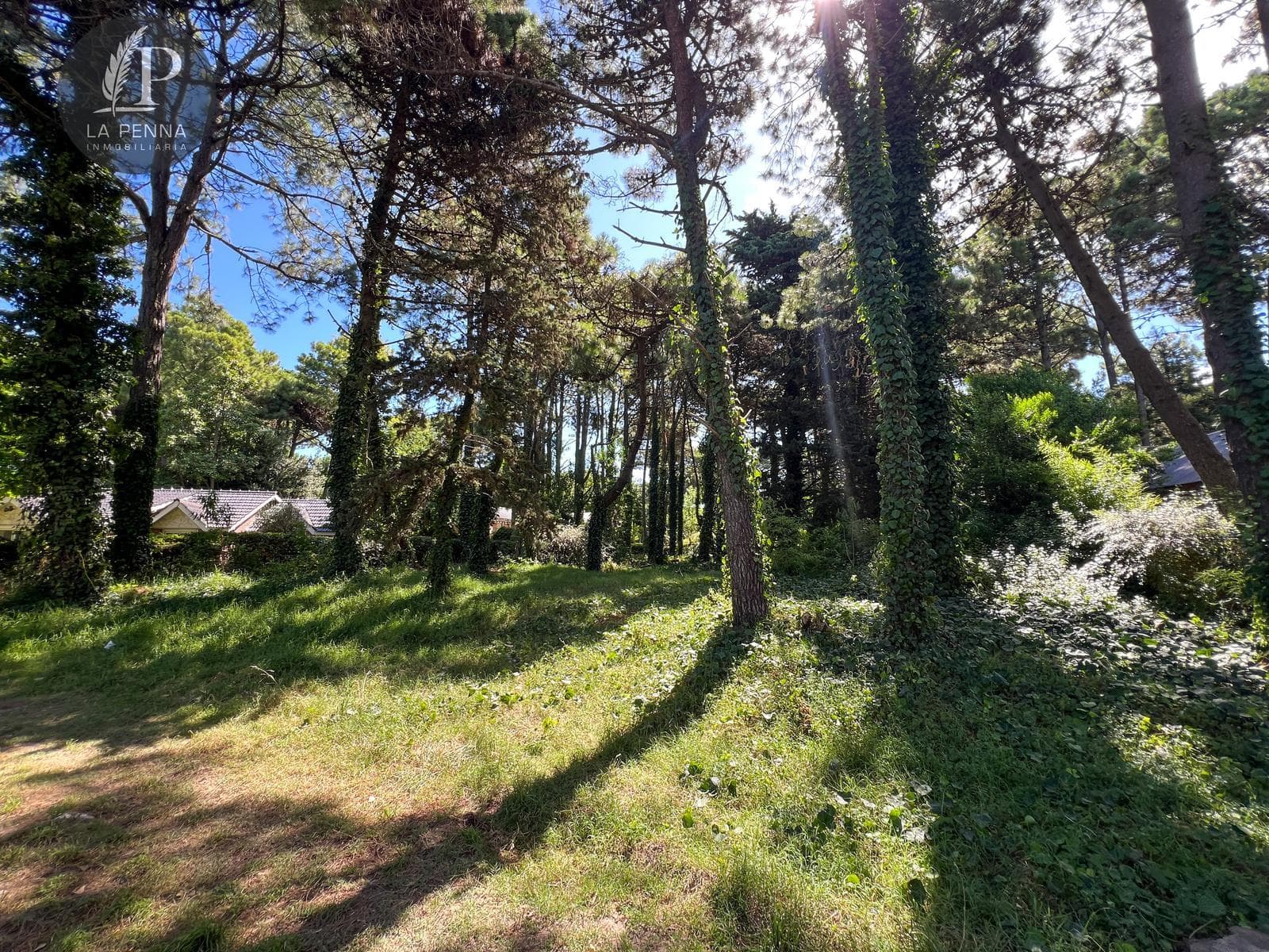 Lot for Sale in Pinamar