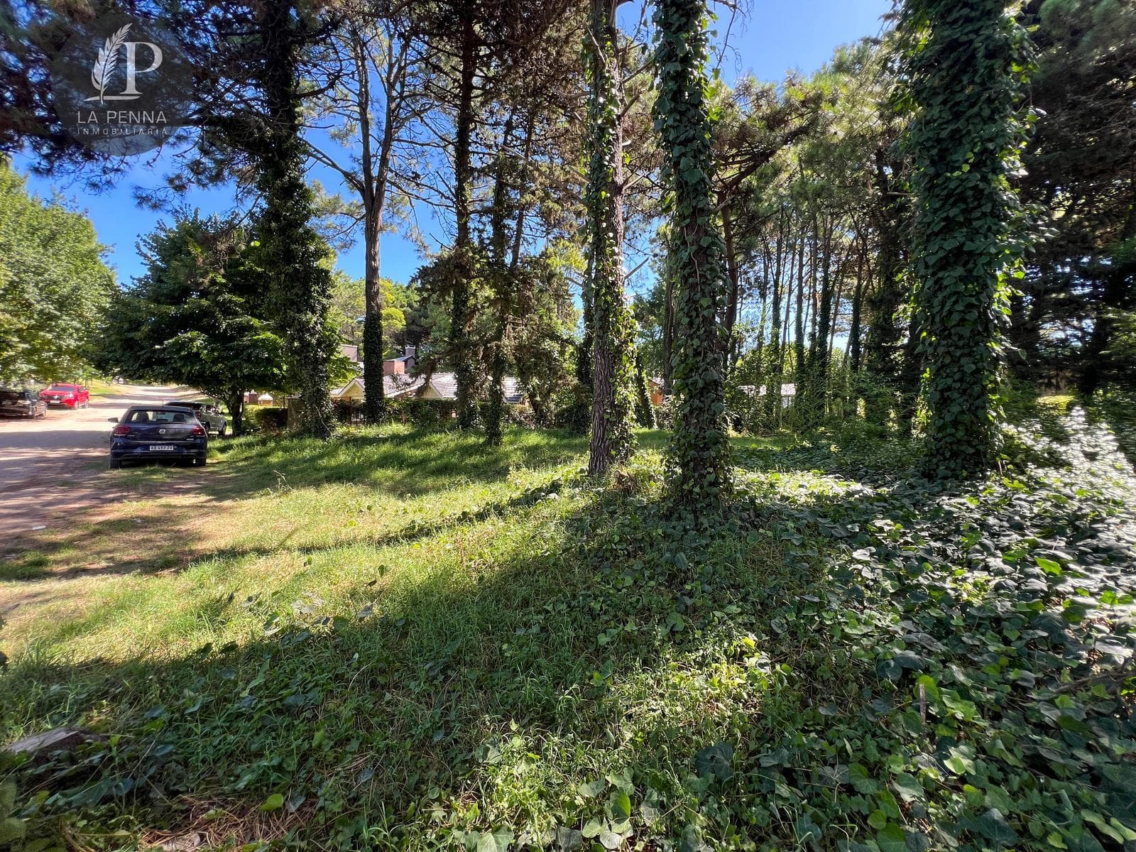 Lot for Sale in Pinamar