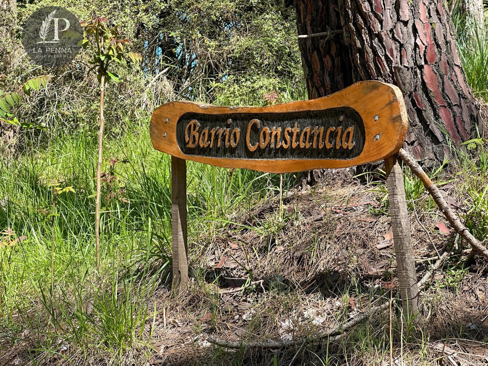 Casa Carilo, Constancia Neighborhood