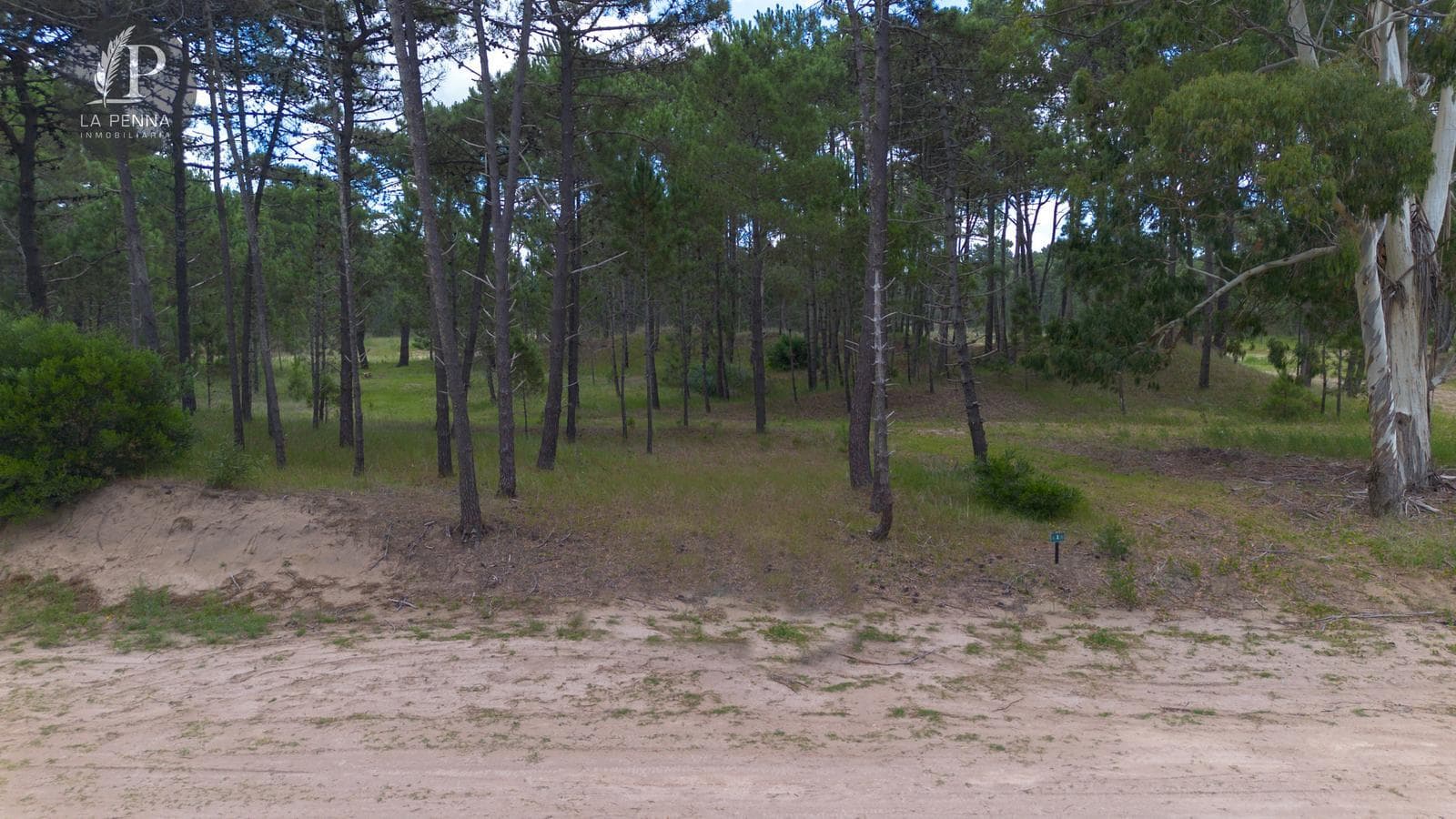 Land for Sale in Pinamar, Bosques Neighborhood