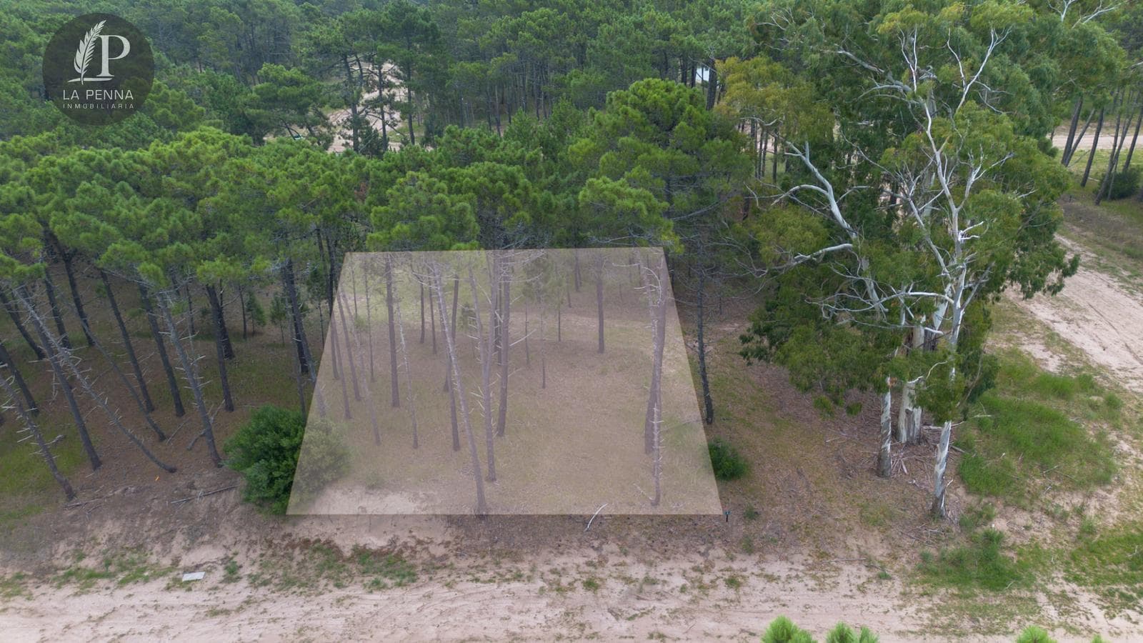 Land for Sale in Pinamar, Bosques Neighborhood