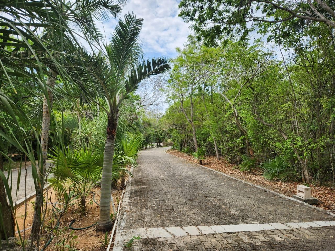 Se vende hermosa casa en condominio con seguridad con acceso a laguna de aguas cristalinas en Akumal P3725