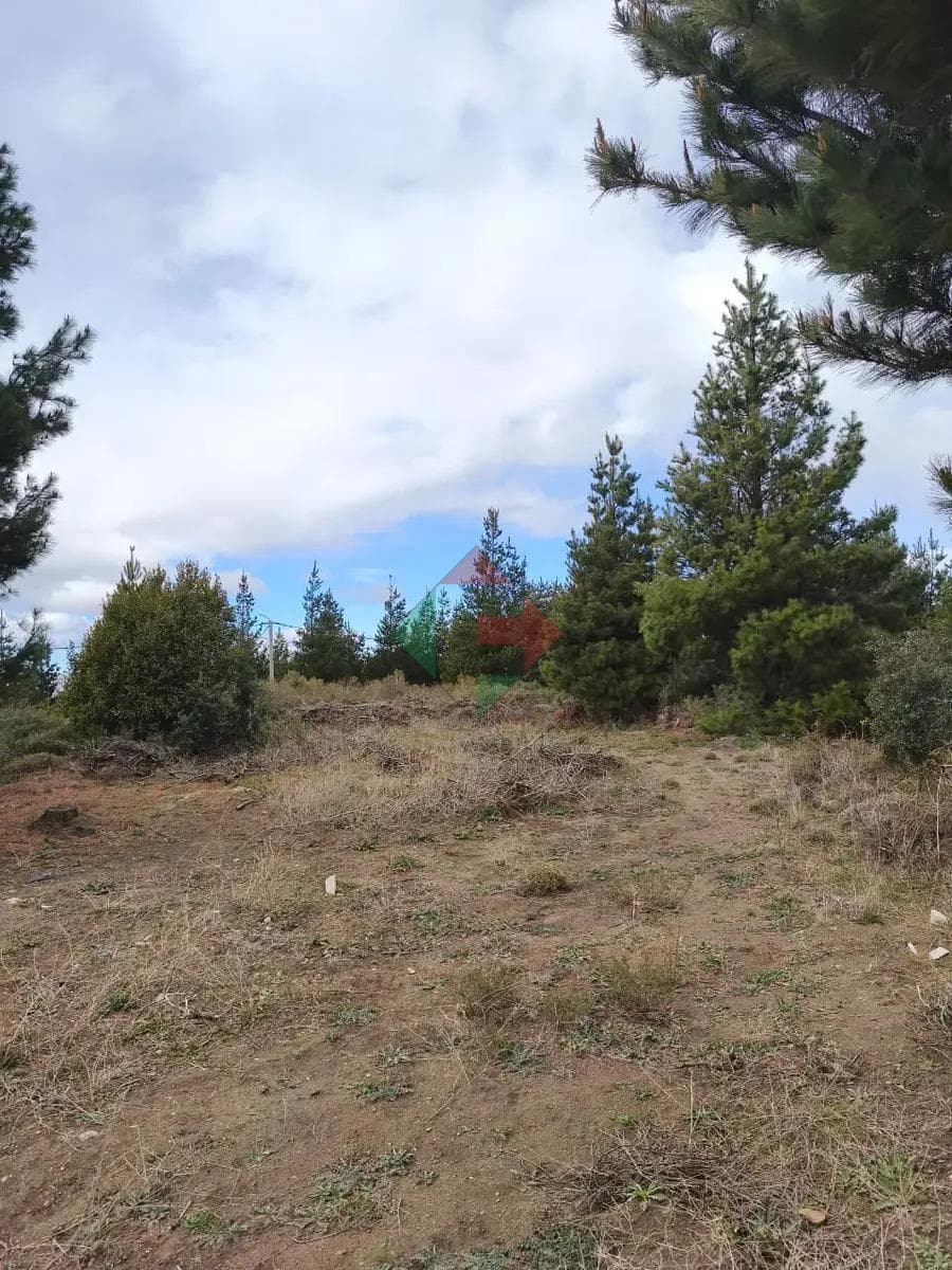A 350-square-meter flat lot in Los Abedules, Las Victorias, Bariloche. Ready for title transfer